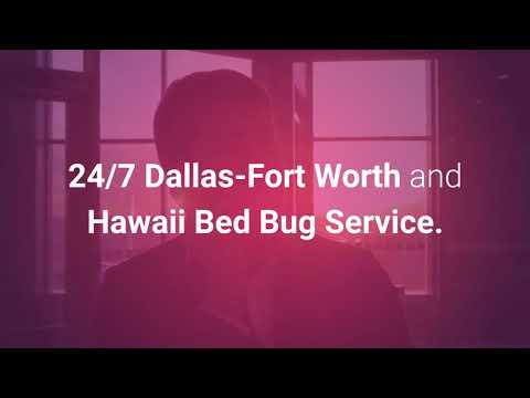 Fort Worth & Dallas Bed Bug Extermination | 4692000637 | bullseyek9.com