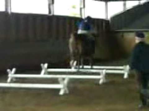 Springen mit Furioso 1/2