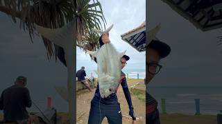 Download lagu VLOG TRYING FISHING IN THE SEA PART 2☺️ mp3 Download lagu VLOG TRYING FISHING IN THE SEA PART 2☺️ mp3