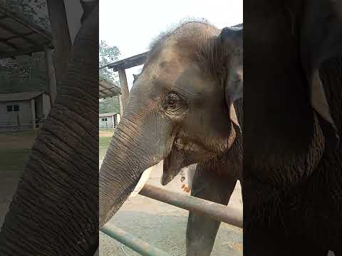 Khagendra with Earvin