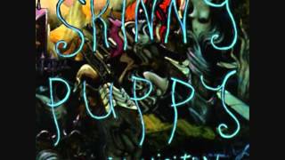 F/A 64: Skinny Puppy - Inquisition (Extended mix)