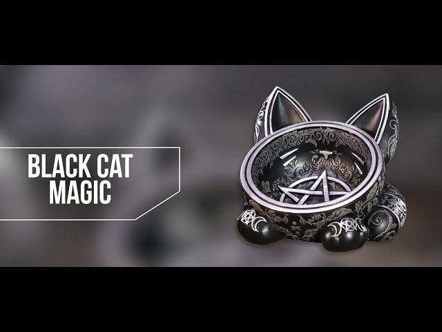 Vídeo relacionado con Nemesis Now Black Cat Mujer Cartera Standard Poliuretano