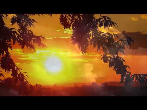 relaxare cu muzică si sunet de apă si păsări ,terapie