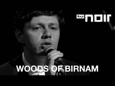 Woods Of Birnam - The Healer (live bei TV Noir)