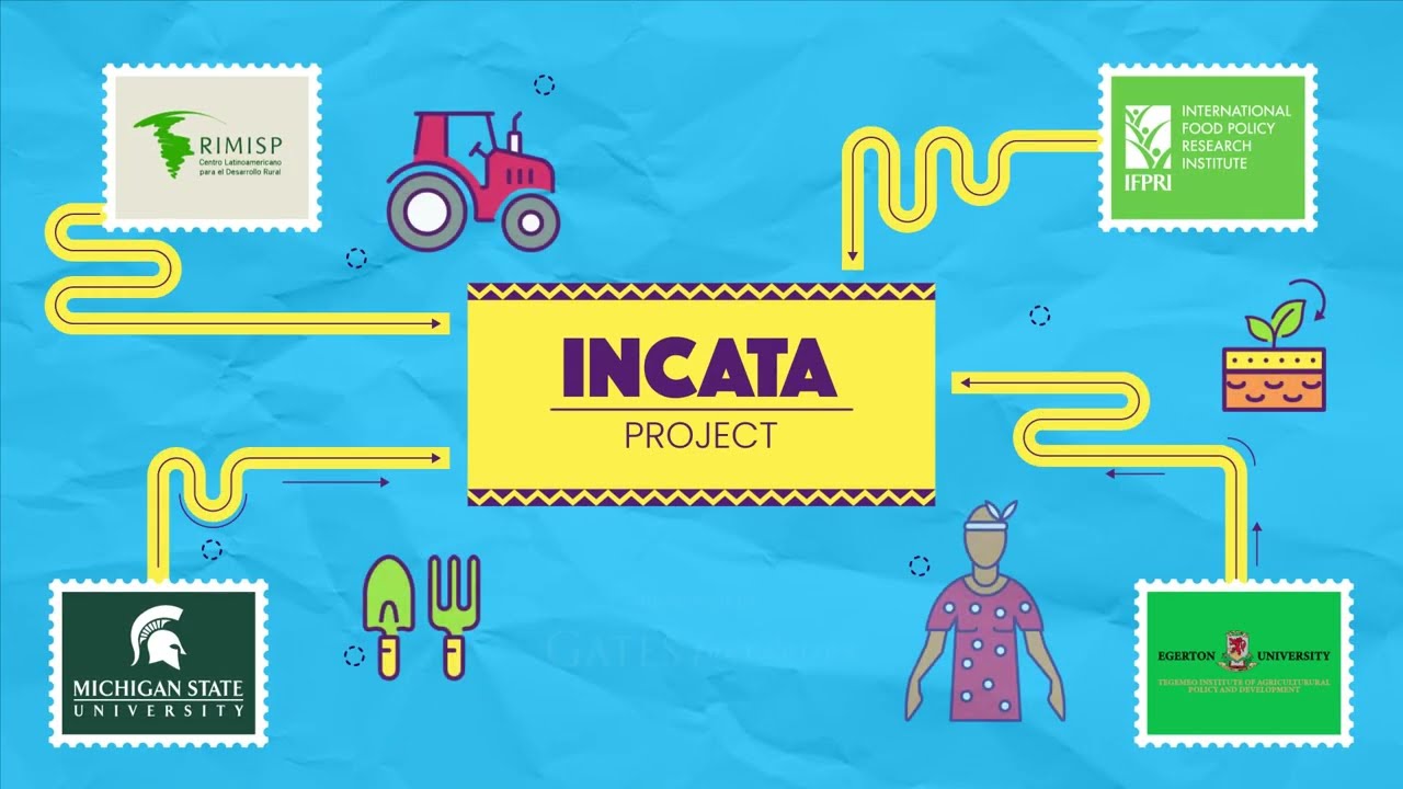 Project INCATA: Final Results | Proyecto INCATA: Resultados Finales