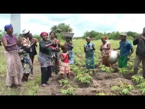 Improve the income of 50 rural poor women in Benin