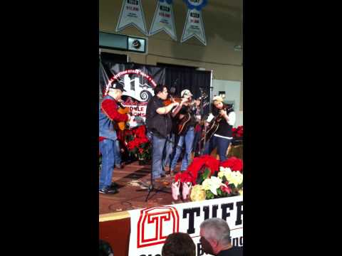 I Don't Love Nobody 2011 COTFA