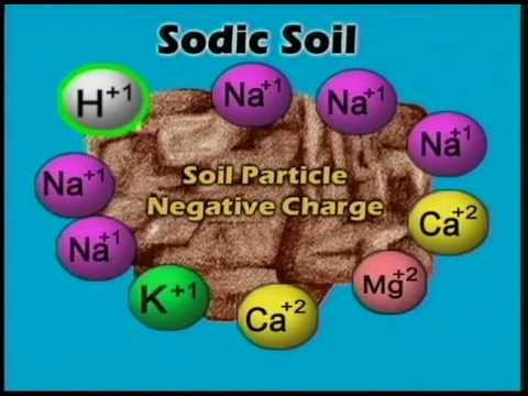 AGPR201 12 10 Sodic Soil - YouTube