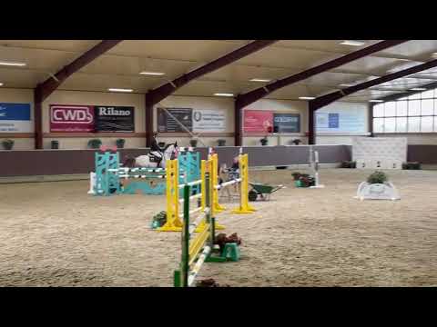 Zero Blue 2:ZIROCCO BLUE VDL x COLMAN