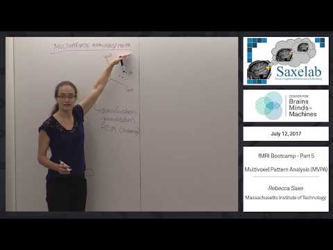 fMRI Bootcamp Part 5 - Multivoxel Pattern Analysis (MVPA)