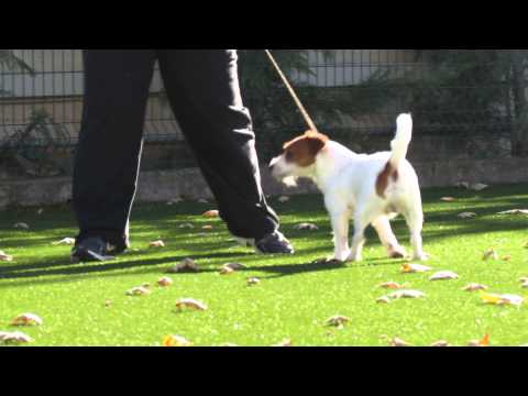 Kisentel's The King of Queens !!! Movement !!!