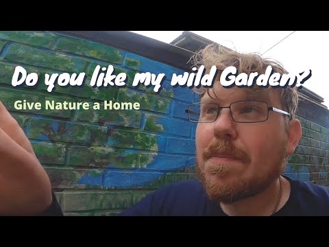 Welcome to my Garden - Gardening Ideas - Rewild - Permaculture -  Garden with nature.