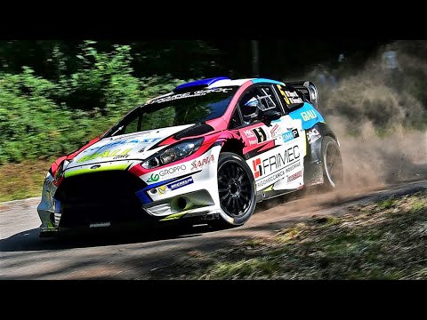 53° Rally Friuli Venezia Giulia 2017 - Crash & Mistakes