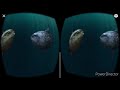 Swimming With Giants