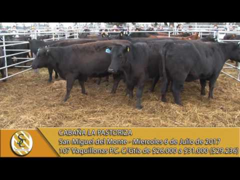 05-07-17 Venta de Vaquillonas PC Con Garantía de Preñez - Cabaña La Pastoriza - San Miguel Del Monte