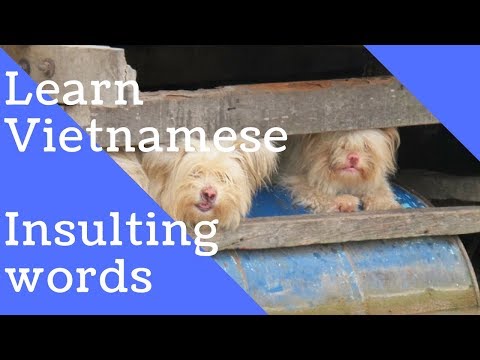 download lagu mp3 mp4 Vietnamese Profanity, download lagu Vietnamese Profanity gratis, unduh video klip Vietnamese Profanity