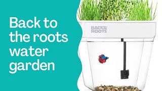 Back to the Roots Water Garden | Mini Aquaponic Ecosystem | EverCrest