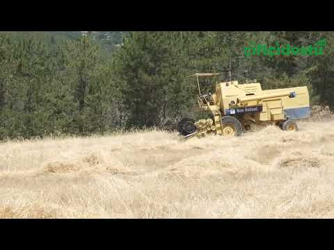 Betonda büyüdük tarımda küçüldük