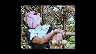 Download lagu topeng betawi mp3 Download lagu topeng betawi mp3