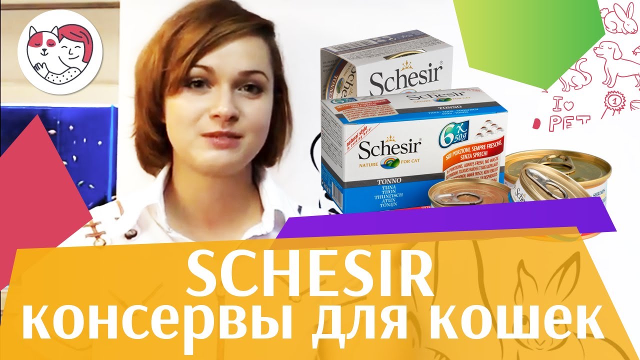 Schesir консервы для кошек на ilikepet