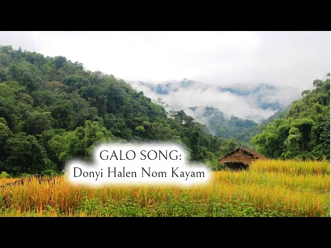 Donyi Halen Nom Kayem Song|Galo Song|Donyi Halen Nom Kayam lyrics song|Galo Lyrics Song|