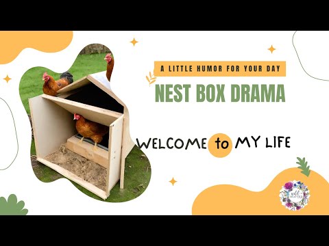 Nest Box Nonsense, But The Hosts Are Actually Funny