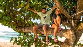 Holy Meola! - The Inertia