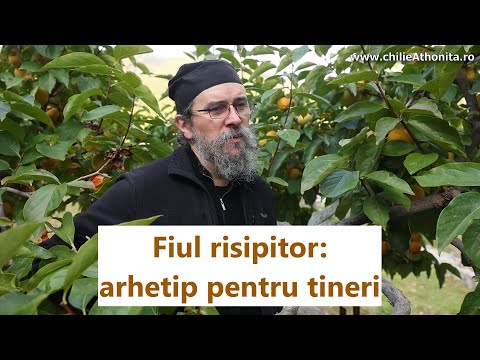 Parabola fiului risipitor: sfaturi pentru părinți și adolescenți - p. Teologos