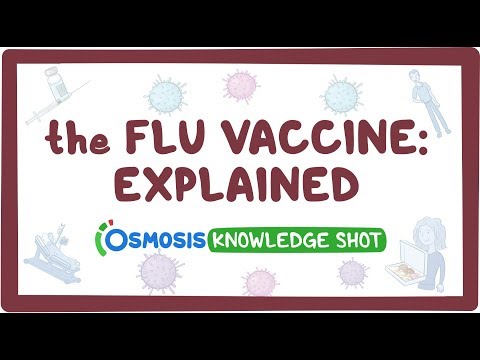 The flu vaccine: explained