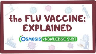 The flu vaccine: explained