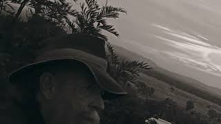 Tom Waits - November