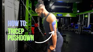 Triceps Pushdown: Cable Triceps Isolation exercise video thumbnail