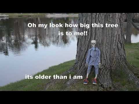 Bones Adventure season 2 episode 8