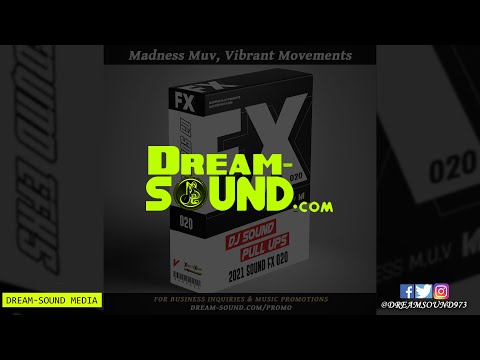 Madness Muv - DJ Sound Fx 20 (EFX 2021)