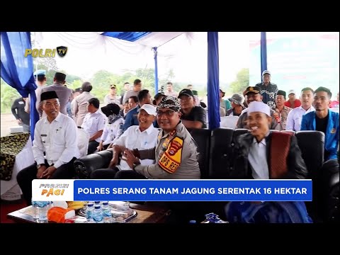 POLRES SERANG TANAM JAGUNG SERENTAK 16 HEKTAR