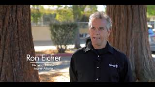 Redwood School District, Educational Campuses Partner