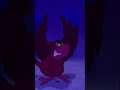 Patience Patience Aladdin Shorts