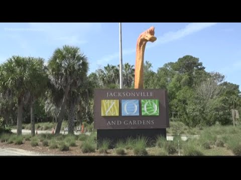 Life for the animals inside the Jacksonville Zoo continues amid COVID-19 pandemic