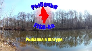 Отчеты о рыбалке в шатуре ноябрь 2020