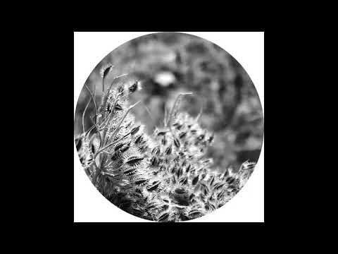 Cliche Morph - Mystical Turn [AFFIN037LTD]