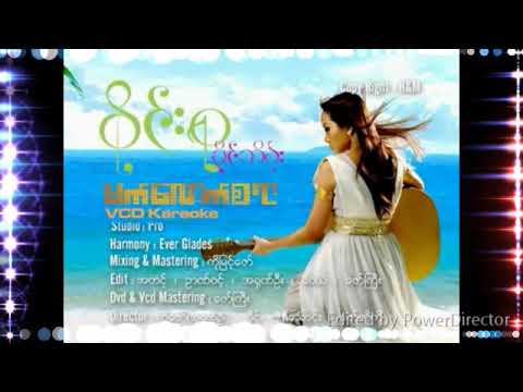 ဝိုင်းစုခိုင်သိန်း