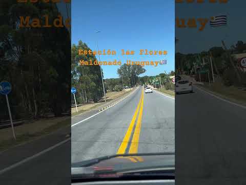 Ruta 9  y  37 ahí está El Castillo de Piria, mística ruta de Maldonado 🇺🇾.