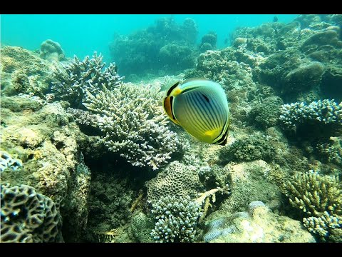 Road Trip & Relaxing Family Vacation at Amaya Beach - Pasikudah Recharged by Jet Skis & Snorkeling