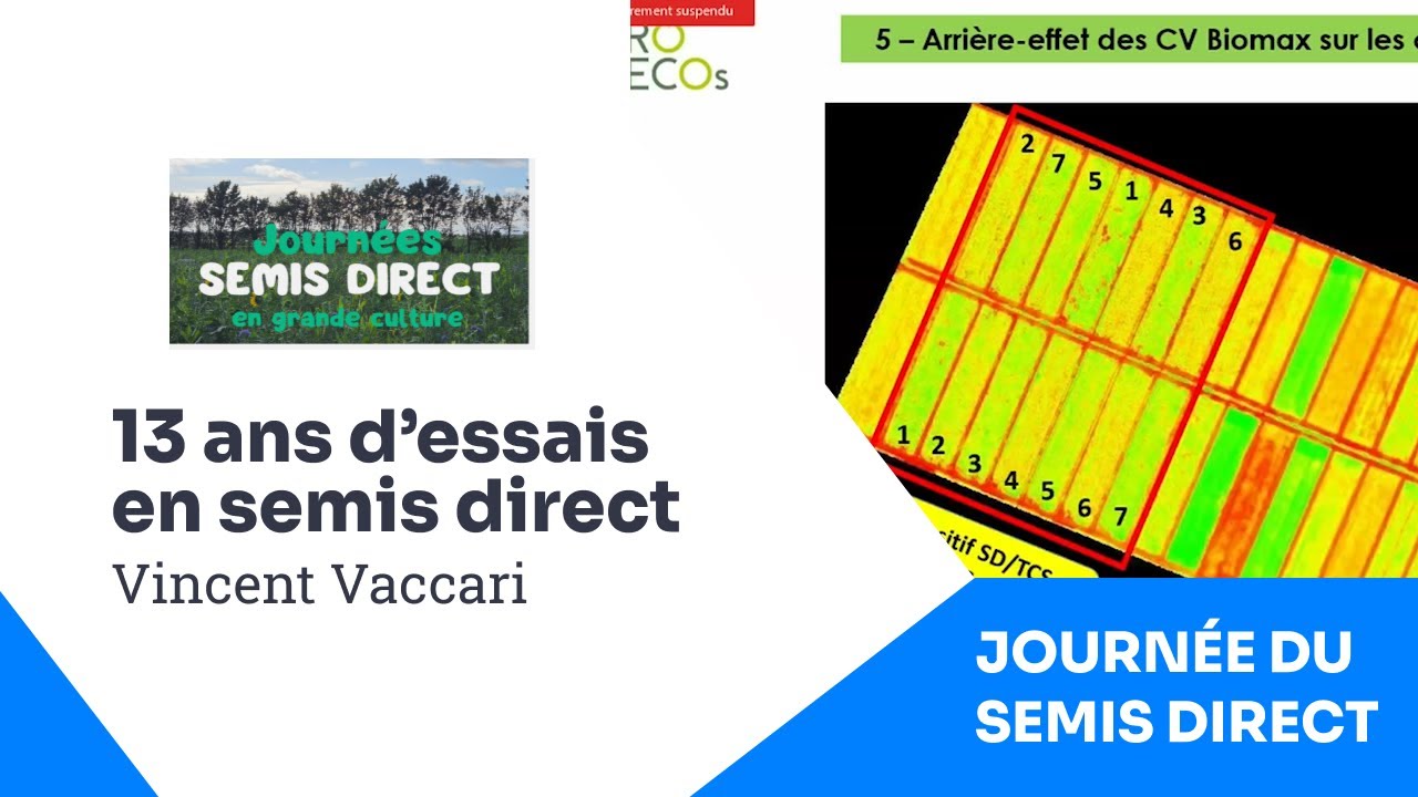 SEMIS DIRECT : 10 ans d'essais ! Vincent Vaccari