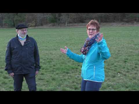 Wie wir beten können. Der Gebetsspaziergang