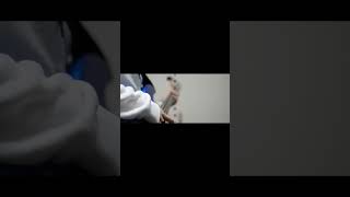 ヨルシカ LIVE TOUR 2025「盗作再演」盗作/創作セトリメドレー Guitar＆Basscover byフクレモ.  #盗作live  #キタニタツヤ【#盗作】【#ヨルシカ】【#盗作再演】