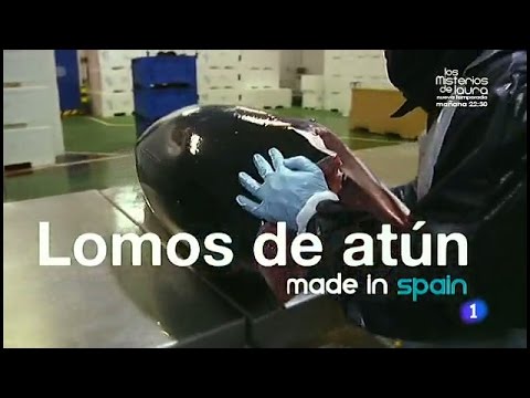138-Fabricando Made in Spain - Lomos de atún