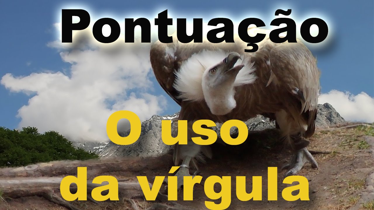 Pontuação - o uso da vírgula