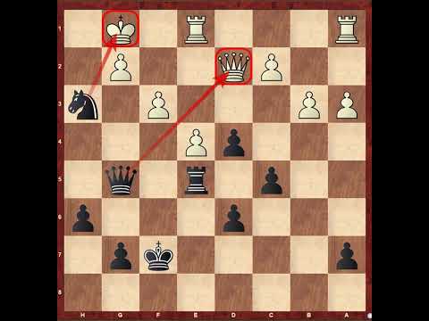 Chess in The Dominican Republic #558