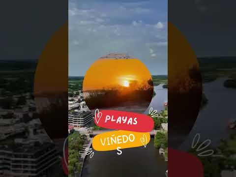 Cómo llegar a Carmelo desde Tigre 🚤 | Viaje por el Delta + experiencia completa